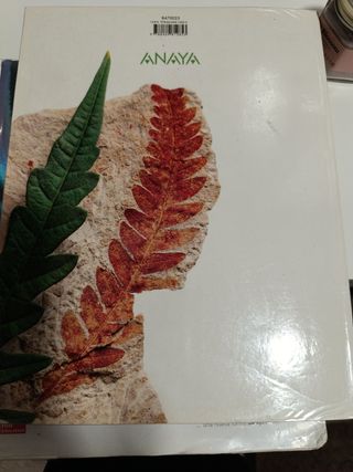 Libro de texto 