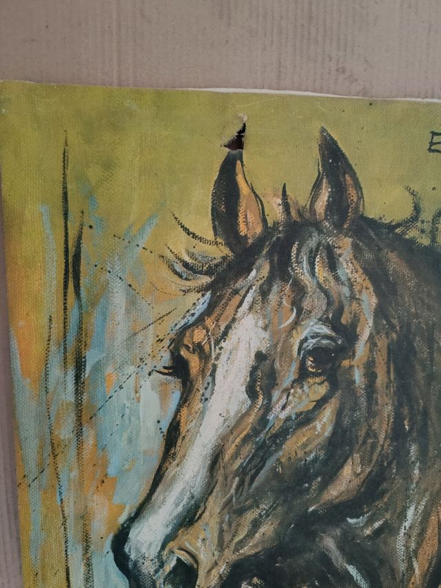 Cuadro de caballo Equus Przewalskii