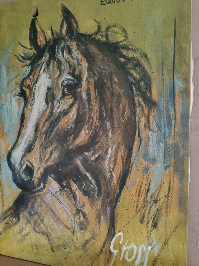 Cuadro de caballo Equus Przewalskii