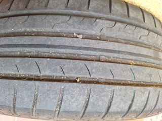 Neumático Dunlop Sport BluResponse 205/55 R16