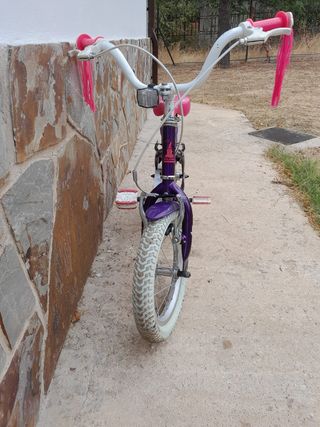 Bicicleta infantil de aluminio 3-6 años