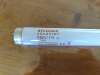 Tubo Sylvania Aquastar para plantas acuario 