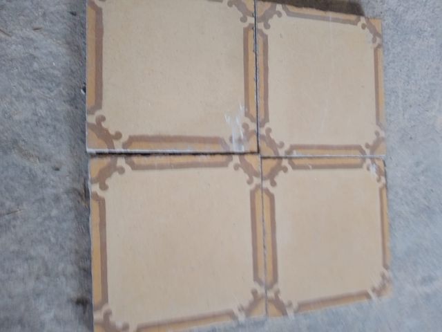 Placas Gres Hidráulico 20x20