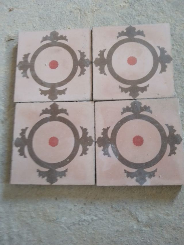 Placas Gres Hidráulico 20x20