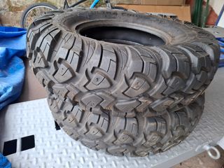 Neumáticos ITP 30x10 R14 Buggy 