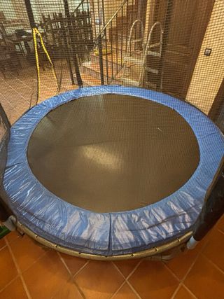 Cama elástica 250mm con red