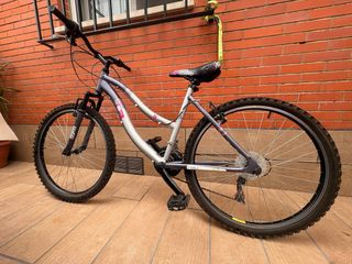 Bicicleta montaña plateada