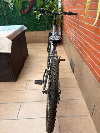 Bicicleta montaña plateada