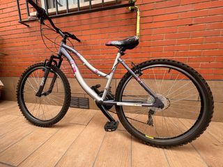 Bicicleta montaña plateada