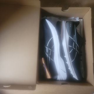 Zapatillas Asics GT-1000 12 Negras y Blancas.