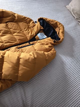 Abrigo Springfield Amarillo Talla M