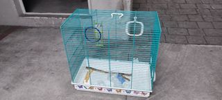 Jaula para pájaros periquitos con accesorios
