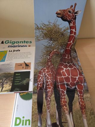 Tres libros infantiles sobre Animales.