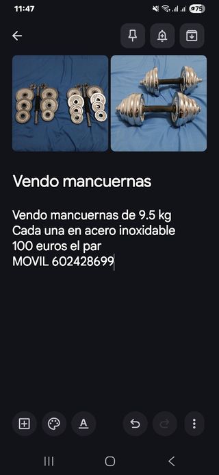 Mancuernas 9.5 kg Acero Inoxidable (Par)