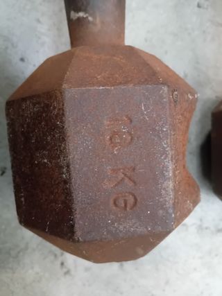 Manubri palestra Fassi 10 kg