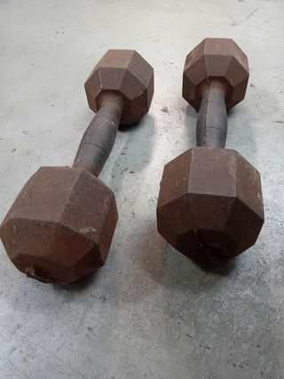 Manubri palestra Fassi 10 kg