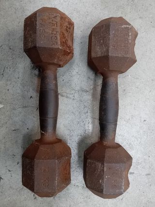 Manubri palestra Fassi 10 kg