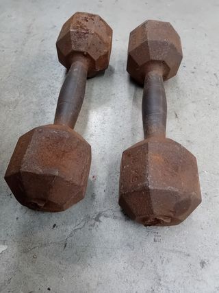 Manubri palestra Fassi 10 kg