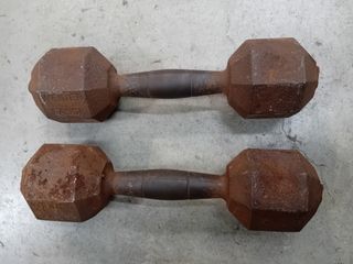 Manubri palestra Fassi 10 kg