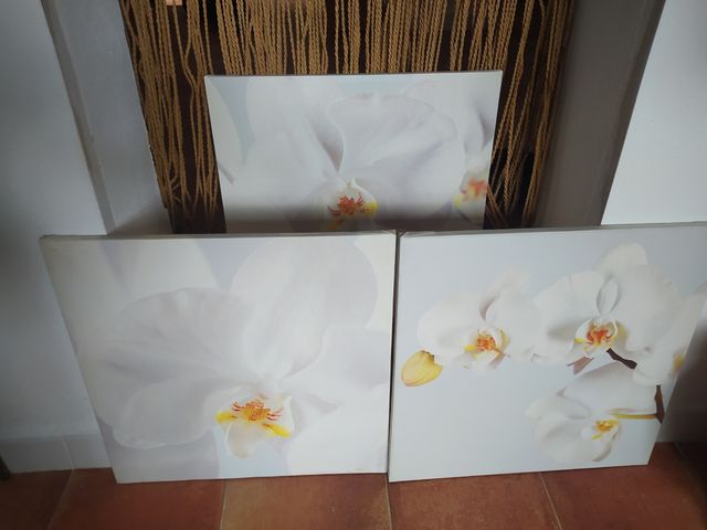 Tríptico Ikea Orquídeas Modelo Pjätteryd