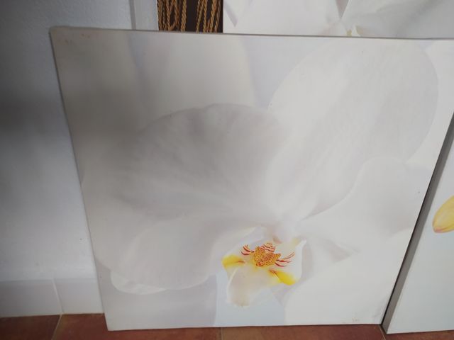 Tríptico Ikea Orquídeas Modelo Pjätteryd