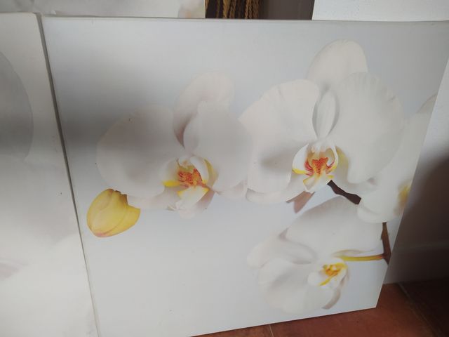 Tríptico Ikea Orquídeas Modelo Pjätteryd