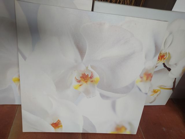 Tríptico Ikea Orquídeas Modelo Pjätteryd