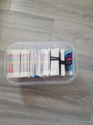 Carte Collezzionabili Panini 2024-2025 
Offerte⚠️⚠