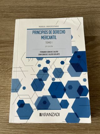 Principios de Derecho Mercantil (Tomo I)
