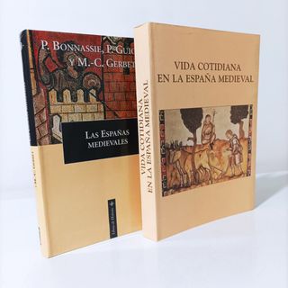 Las Españas medievales (Spanish Edition)