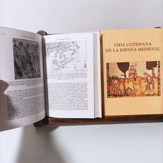 Las Españas medievales (Spanish Edition)