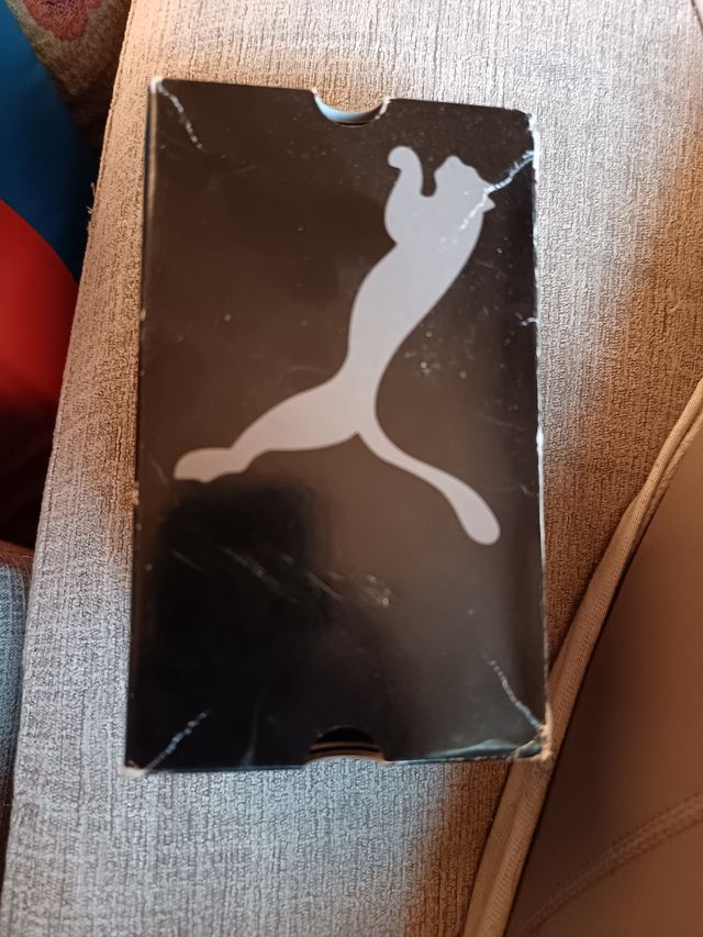 Reloj Puma WR 100M Plata