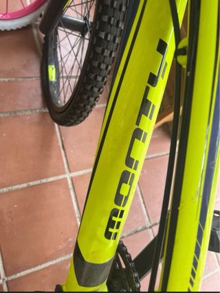 Bicicleta Monty Rice