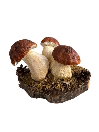 Set de 3 Setas Boletus Decorativas
SOLO HOY OFERTA
