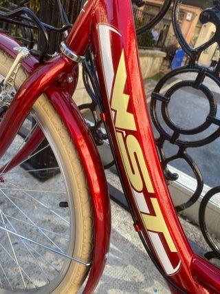 Bicicleta de paseo roja