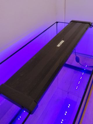 Acuario Pecera con Pantalla Nicrew