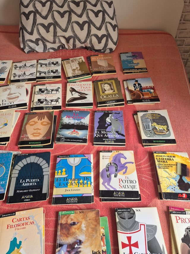 Lote de más 150 libros