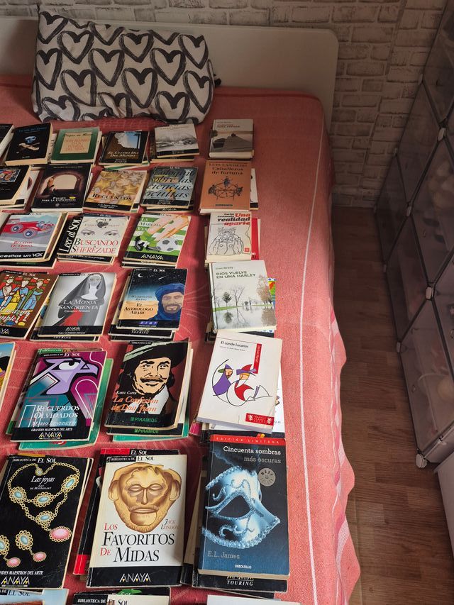 Lote de más 150 libros