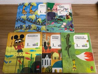 Libros 1º primaria SM