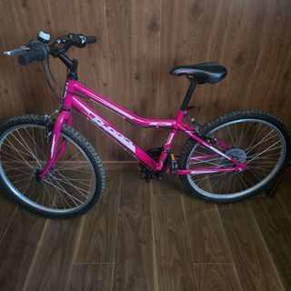 Bicicleta B-Pro Rosa 24