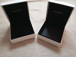 2 Cajas Pandora Medianas