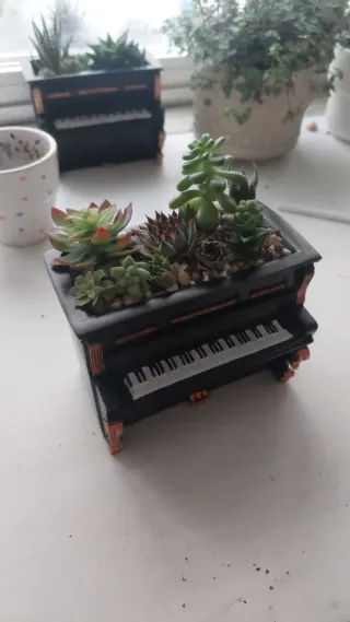 Maceta Piano con Suculentas