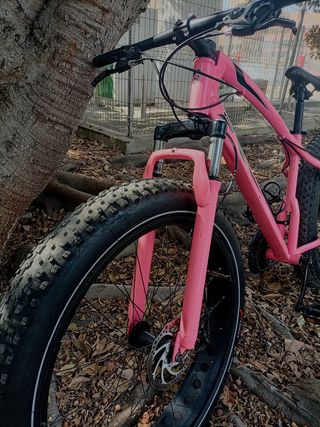 Bicicleta MTB Fat Bike Riscko adulto