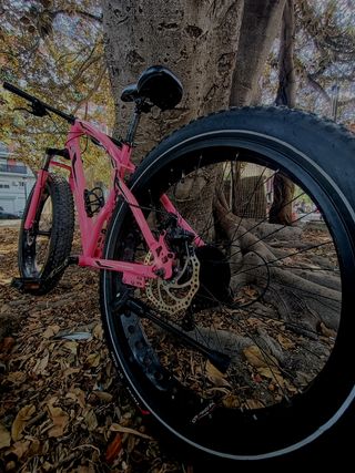 Bicicleta MTB Fat Bike Riscko adulto