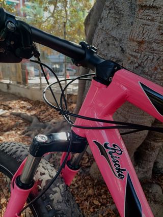 Bicicleta MTB Fat Bike Riscko adulto