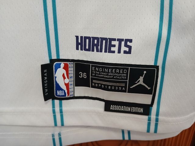Camiseta Baloncesto Jordan Charlotte Hornets
