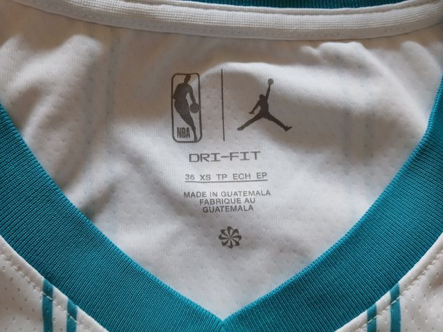Camiseta Baloncesto Jordan Charlotte Hornets