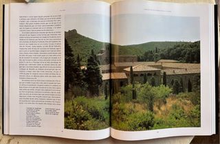 Els càtars (Catalan Edition)