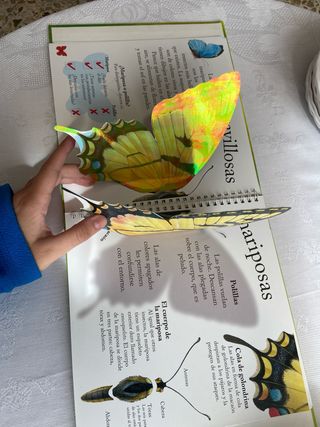 Maravillosas mariposas (Spanish Edition)