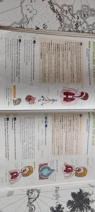 Natural Science 5. Pupil's Book